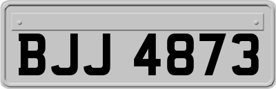 BJJ4873