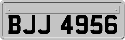 BJJ4956