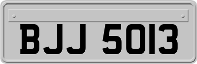 BJJ5013