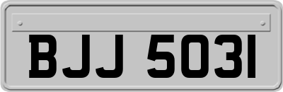 BJJ5031