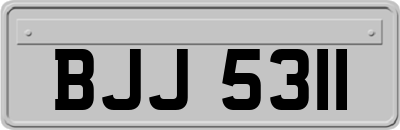 BJJ5311