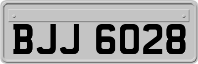 BJJ6028