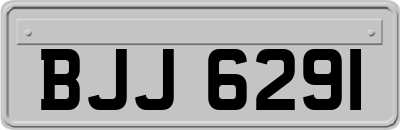 BJJ6291