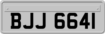 BJJ6641