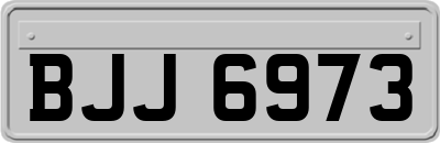 BJJ6973