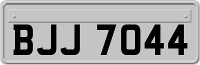 BJJ7044