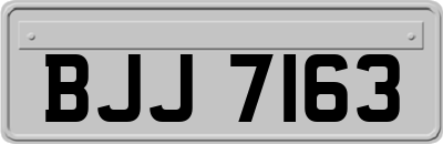 BJJ7163