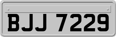 BJJ7229