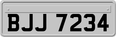 BJJ7234