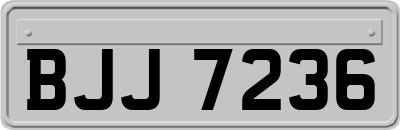 BJJ7236