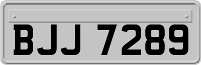 BJJ7289