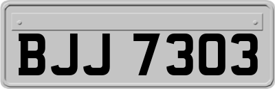 BJJ7303