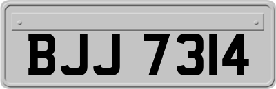 BJJ7314