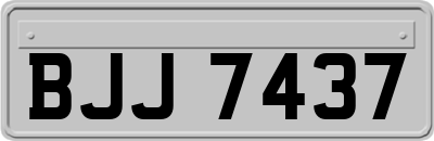 BJJ7437