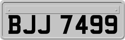 BJJ7499
