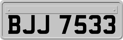 BJJ7533