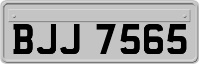 BJJ7565
