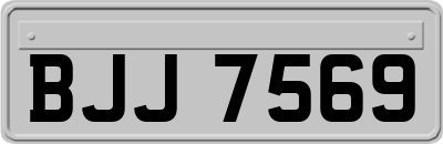 BJJ7569