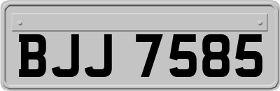 BJJ7585