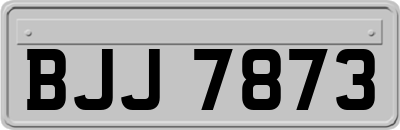 BJJ7873