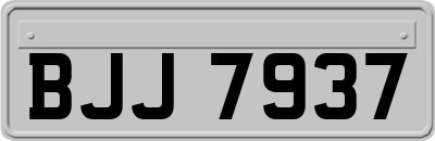 BJJ7937