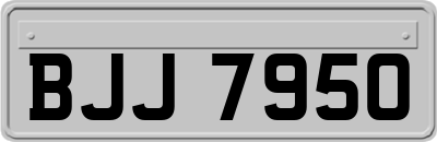 BJJ7950