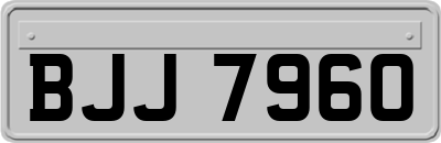 BJJ7960