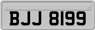 BJJ8199