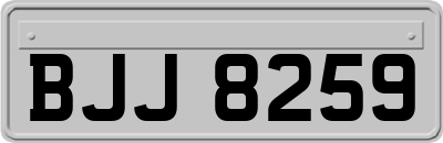 BJJ8259