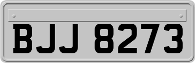 BJJ8273