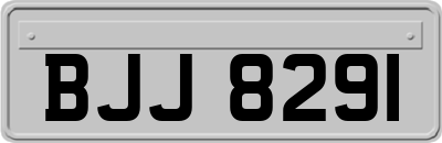 BJJ8291
