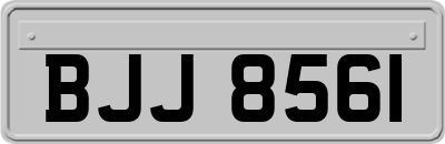BJJ8561