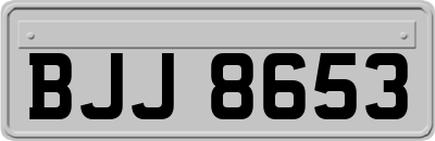 BJJ8653
