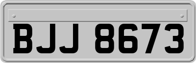 BJJ8673