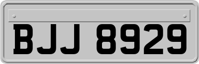 BJJ8929