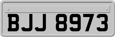 BJJ8973