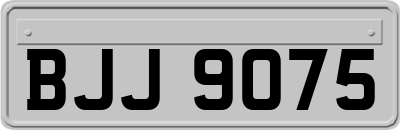 BJJ9075