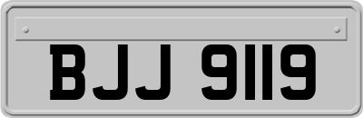 BJJ9119