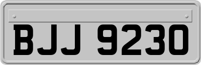 BJJ9230