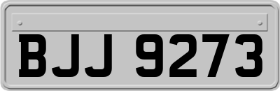 BJJ9273