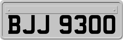 BJJ9300