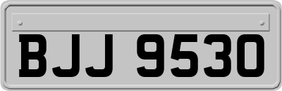 BJJ9530