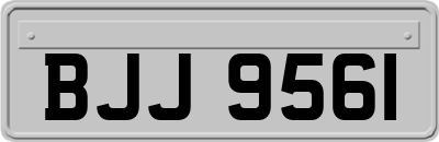 BJJ9561