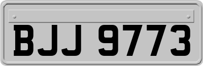 BJJ9773