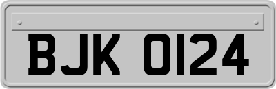 BJK0124