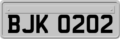 BJK0202