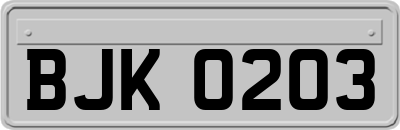 BJK0203