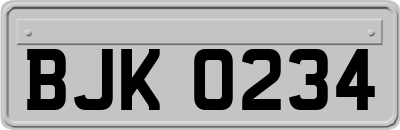 BJK0234