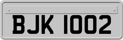 BJK1002