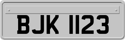 BJK1123